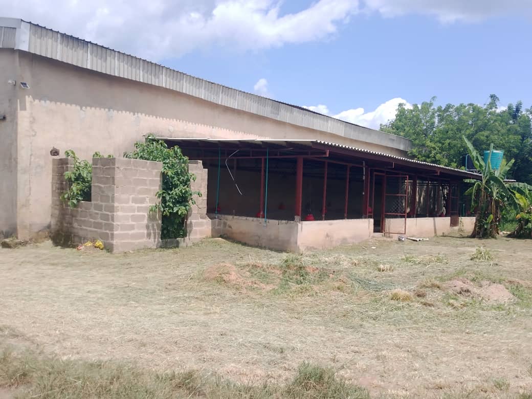 Barn interior
