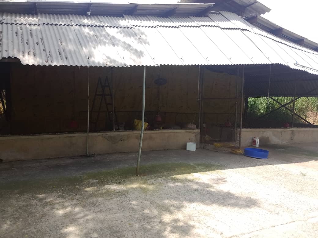 Farm stand